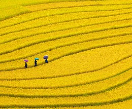 Vietnam & China: kleurrijke volkeren en rijstterrassen